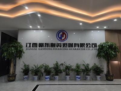 江西贛東地區(qū)合伙企業(yè)注冊(cè)流程與融資擔(dān)保行業(yè)準(zhǔn)入指南